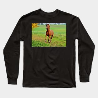 Running Horse Long Sleeve T-Shirt